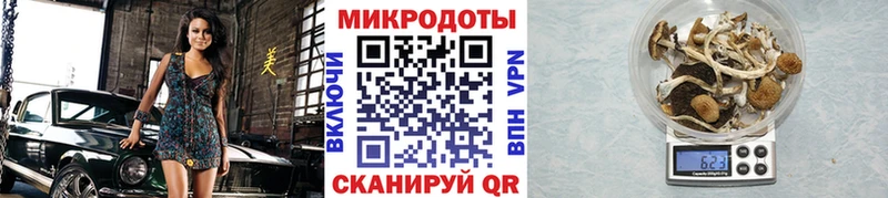 Галлюциногенные грибы Psilocybine cubensis  Бирюч 